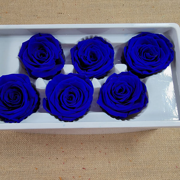 6 Dark blue, Preserved rose head, wedding rose, Floral arrangements, boutonniere, preserved flowers, wedding decor -2.5" x 2.5" Inch