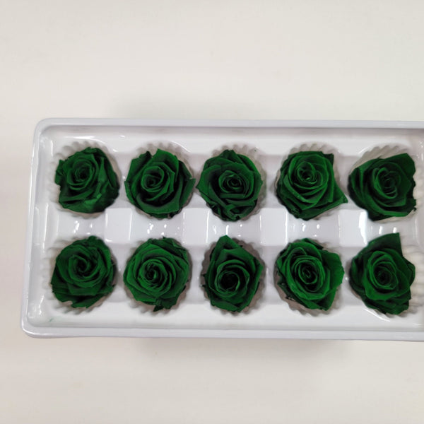 10 Dark Green Preserved Roses / Prom, Mother's Day Flowers, Wedding Decor, Red Roses For Bouquet, Vase, Home Decor & DIY Floral Arrangements